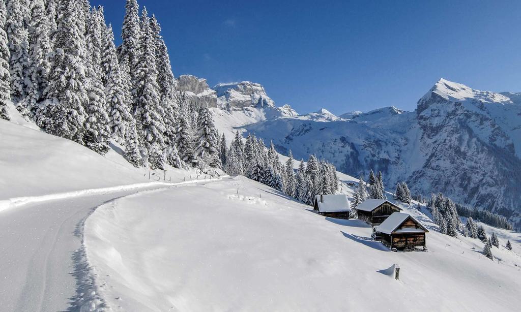 Alpenclub Hotel Engelberg Bagian luar foto